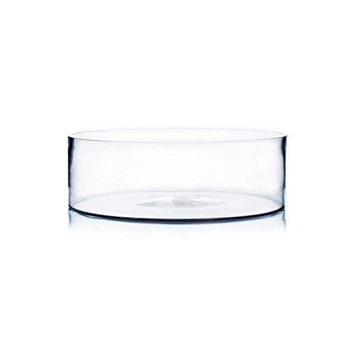 WGV Cylinder Vase, Open Width 12", Height 4", Clear Flat Pan Style Container, Planter Terrarium, Floral Centerpiece for Wedding Party Event, Home Office Decor, 1 Piece - size: 12"x4"H