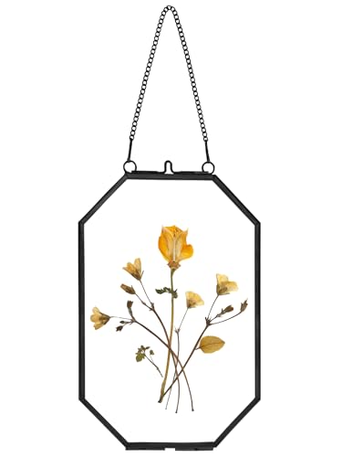 REDHUGO Pressed Flower Frames, Glass Frames, Octagon, Black, 4x6 Inches - color: Black, size: 4 X 6 inches