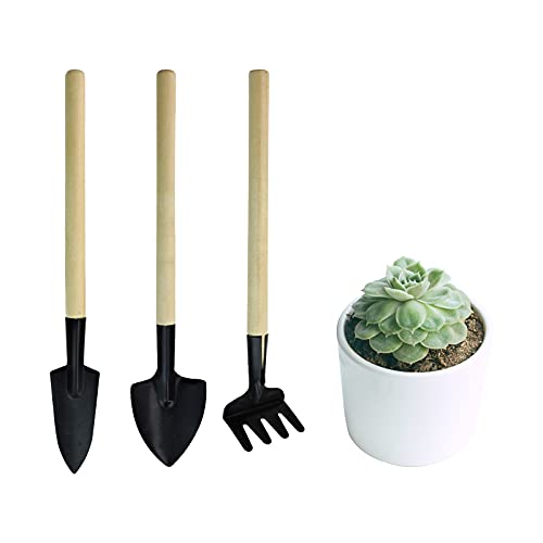 Andiker Mini Gardening Tools, 3pcs Portable Garden Hand Tools Set, Miniature Gardening Rake Trowel and Shovel for Seedlings, Bonsai, Succulents, Herbs, Terrariums and Planting (3pcs)