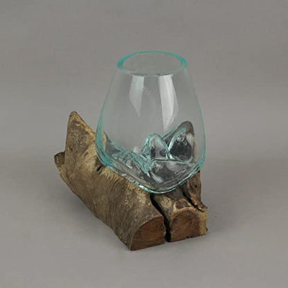 Molten Glass Vase on Teak Driftwood, 7.5 Inch | Clear Hand-Formed Bowl, Natural Wood Base, For Succulents, Air Plants, Herbs or Desktop Terrariums