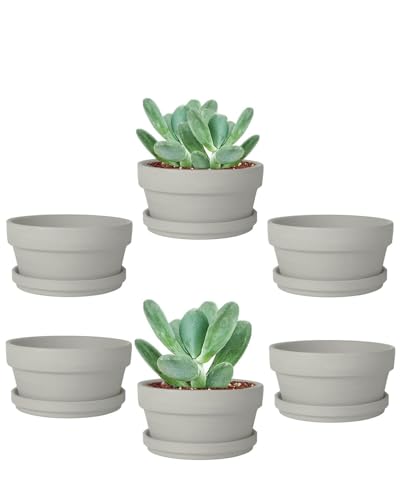 vensovo 3.7 Inch Grey Terracotta Succulent Pots with Saucers, 6 Pack - color: Gray, size: 3.7 Inch