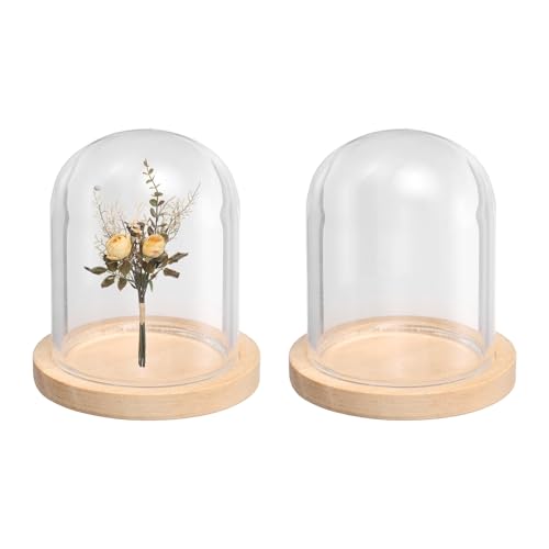 uxcell 2pcs Glass Display Dome 1.4"x1.7" Clear Cloche Glass Dome Bell Beige - color: Beige, size: 1.4x1.7"