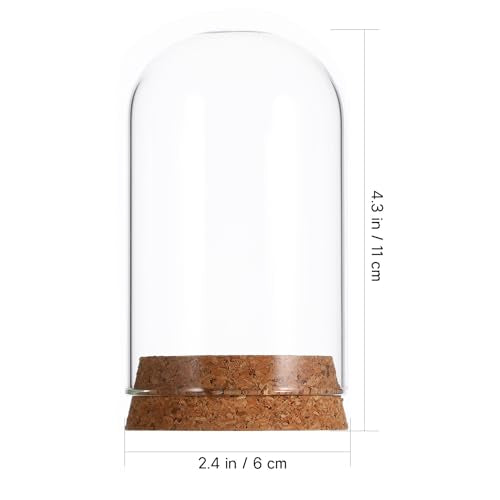Toyvian 5 Pcs Cloche Glass Dome: Clear Glass Display Dome with Wood Base, Decorative Jars, Transparent Display Cover for Flower Storage, Christmas Party Favor, Keepsakes Collectibles