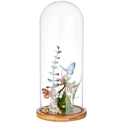 BENECREAT 4.6x12inch Eternal Transparent Flower Glass Cover, Glass Display Dome Cloche Jar with Sandy Brown Solid Wood Base for DIY Flower Craft - color: Sandy Brown