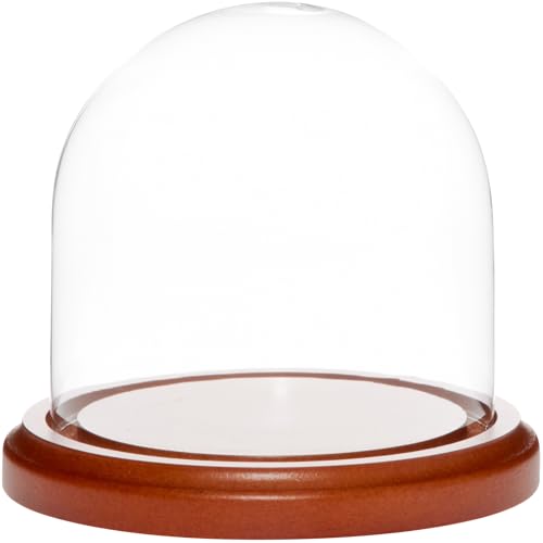 Plymor 4" x 4" Glass Display Dome Cloche (Walnut MDF Base) - color: Walnut MDF base