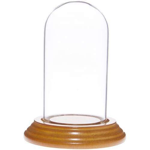 Plymor 2" x 4" Mini Glass Display Dome Cloche (Oak Veneer Base) - color: Oak Veneer Base