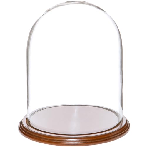 Plymor 8" x 10.25" Glass Display Dome Cloche (Walnut Veneer Base) - color: Walnut Veneer Base