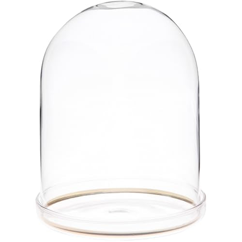 Plymor 4" x 5.5" Glass Display Dome Cloche with Gold Rim (Clear Glass Tray Base) - size: 4" x 5.5"
