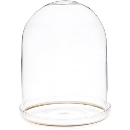 Plymor 4" x 5.5" Glass Display Dome Cloche with Gold Rim (Clear Glass Tray Base) - size: 4" x 5.5"
