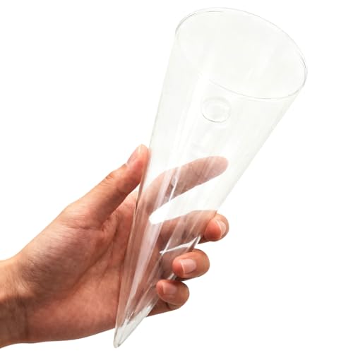8.2 Inch High Small Wall Hanging Glass Planter Vase, Clear Cone Terrarium for Succulents Air Plants Mini Flower Wall Vase Flower for Indoor or Outdoor Bedroom Living Room Kitchen Office