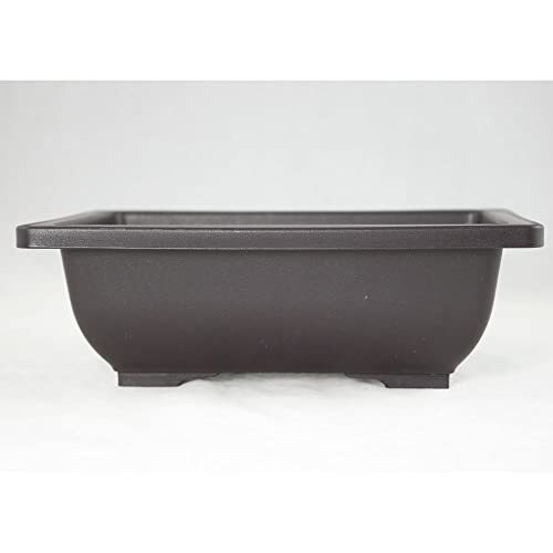 2 Pcs Rectangular Plastic Bonsai training Pot, Succulent Planter 8.5"x 6.5"x 2.75"
