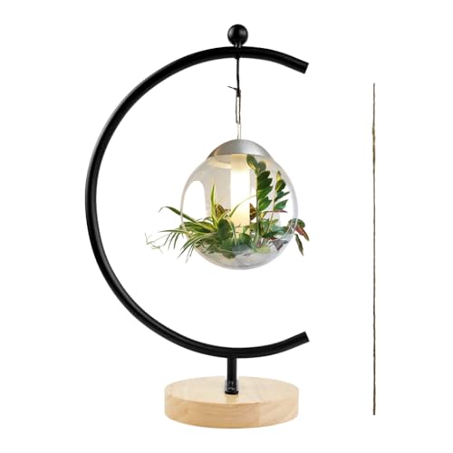 YY YEARCHY Ornament Display Stand Metal Stand Terrarium Air Plant Stand Flower Pot Holder Iron Pothook Stand for Hanging Glass Globe Ball | Air Plant Flower Pot Holder Iron Pothook for Hanging Glass Terrarium Globe Ball