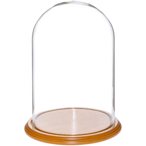 Plymor 8" x 12" Glass Display Dome Cloche (Oak Veneer Base) - color: Oak Veneer Base