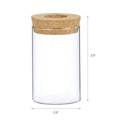 Clear Glass Planter Vase with Wooden Lid and Bamboo Stand for Hydroponic Plants, Succulents, Cut Flowers Gifts for Women Mom Plant Lovers (1, 2.55 * 3.93inch)