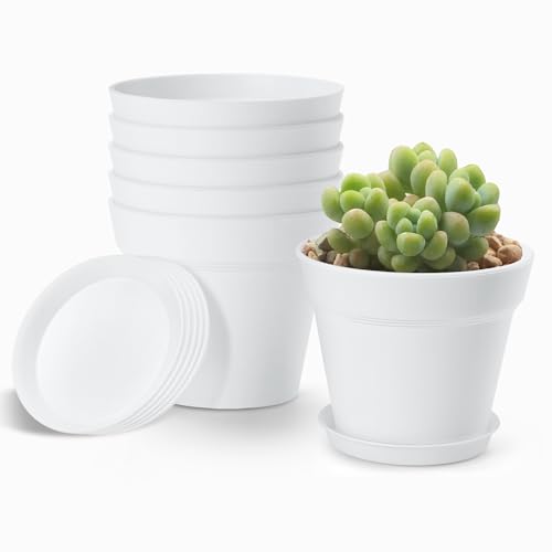 4 Inch Plastic Plant Pots 6 Pack with Drainage Holes and Tray，White | Small Flower Pots, Thickened Indoor Planters Seedlings Nursery Pots, African Violet, Succulent and All House Plants, - color: White, size: 6 Pack-4in