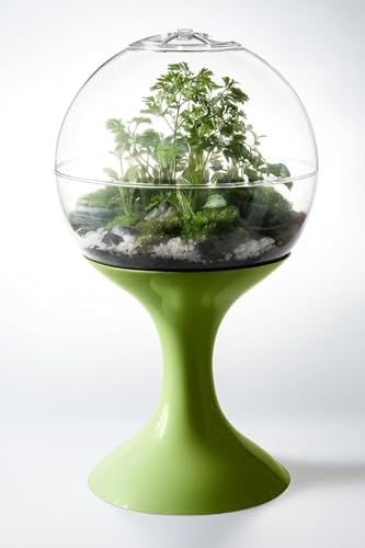 Atomic Space Age Terrarium (Green) - color: Green