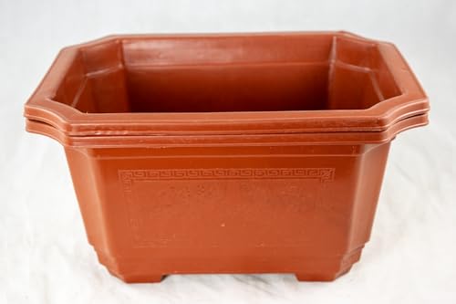 Yubonzai Rectangular Orange Plastic Bonsai Training Tall Pot, Cactus & Succulent Planter - 7.25" to 17.5" (2PCS 10"x 8"x 5" / 8.5") - size: 2PCS 10"x 8"x 5" / 8.5"