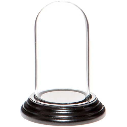 Plymor 1.85" x 3.5" Mini Glass Display Dome Cloche (Black Wood Veneer Base) - color: Black Wood Veneer Base