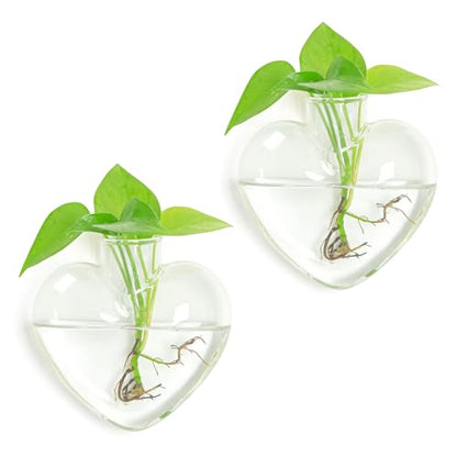 XXXFLOWER Propagation Wall Hanging Vases Planters, 2 Pack Love Water Vases | Planters Propagation Station, Wall Hanging Plant Holder Air Plant Terrariums for Hydroponic Plants, Home Office Decor Gifts - size: 2 Love Wall Hanging