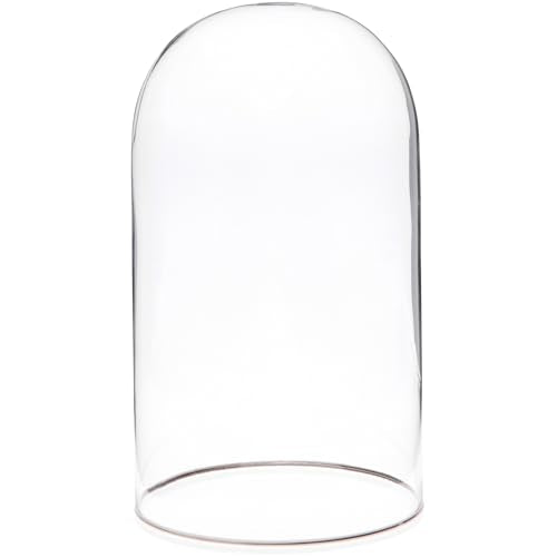 Plymor 4.5" x 8" Glass Display Dome Cloche with Silver Rim (no Base) - size: 4.5" x 8"