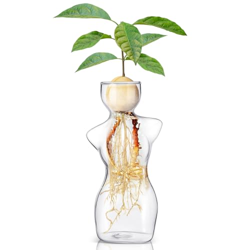 Newtay Avocado Propagation Vases for Plants Glass Flower