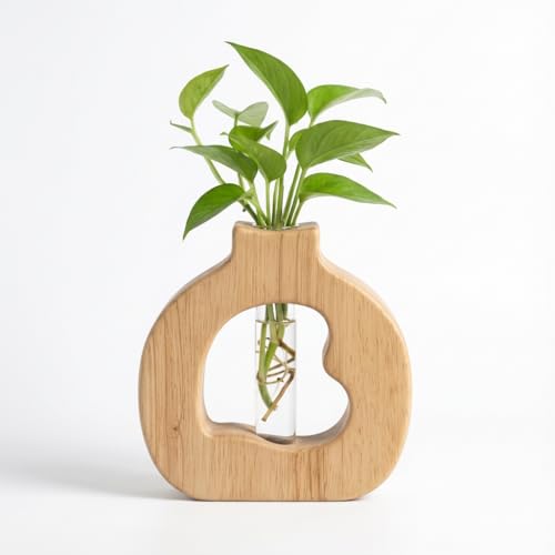 Plant Propagation Station Hanging Stand with Glass Vases | Wall Hanging, Wood Stand, Indoor, Test Tubes, Window Boxes - color: 2