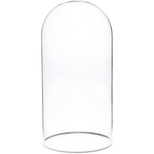 Plymor 5.5" x 11" Glass Display Dome Cloche with Silver Rim (no Base) - size: 5.5" x 11"
