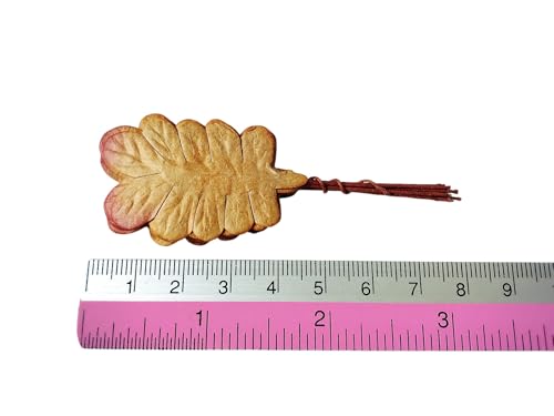 Ploen 25 pcs Copper Brown Leaves Ferns Mulberry Paper Leaves with Wire Stems Fern2 Leaf Mulberry Paper Craft Supplies Scrapbooking Embellishments for so Many Card DIY Craft Projects Leaves258