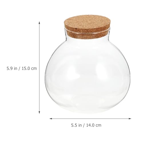 NUOBESTY 2 Pack Glass Terrarium Jar with Cork Lid, 6x6.3 Inch Closed Terrarium for Succulent Moss and Fern, DIY Miniature Desktop Garden for Home & Office Decor (No Plants)