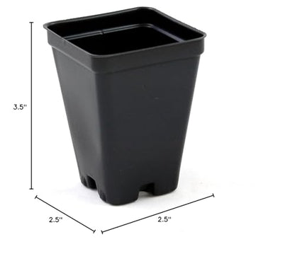 2.5 inch Square Greenhouse Pots - Black - Plastic - Deep - 25 Pack by Growers Solution