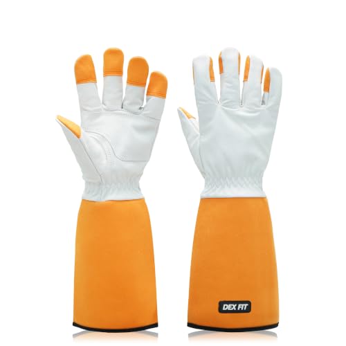 DEX FIT FG310 Gardening Gloves for Women & Men, Long Thorn Proof Leather Sleeves Protection, Comfortable, Durable for Cactus, Rose Bush Pruning and Garden and Yard Work; Orange M (8) 1 Pair - size: Medium(1 Pair)