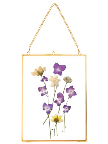 REDHUGO Hanging Pressed Flower Frames, Double Glass, Gold, 6x8 Inches - color: Gold, size: 6L" x 8W"