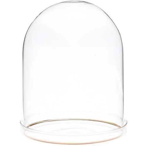 Plymor 4.5" x 6" Glass Display Dome Cloche with Gold Rim (Clear Glass Tray Base) - size: 4.5" x 6"