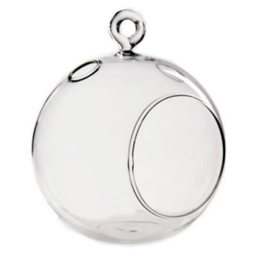3.5" Glass Plant Orb/Terrarium