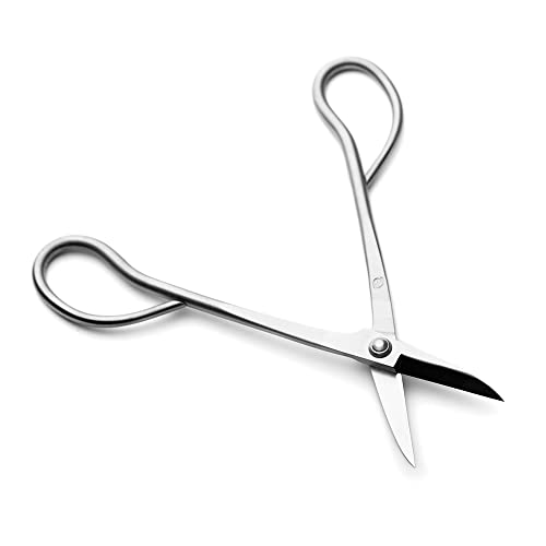 Bonsai Scissors Bonsai Tools (T 180 scissors)