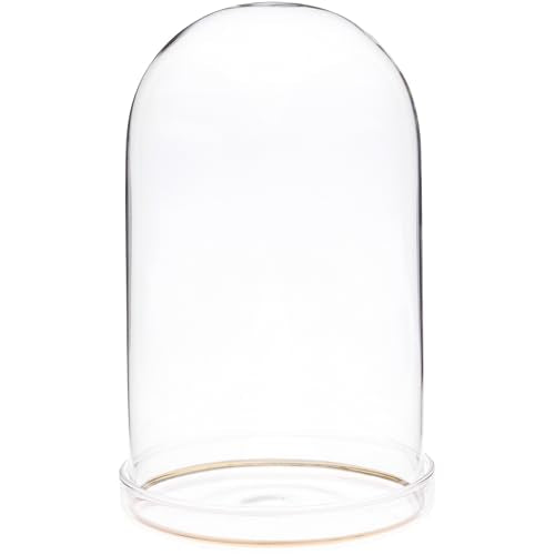 Plymor 4" x 7" Glass Display Dome Cloche with Gold Rim (Clear Glass Tray Base) - size: 4" x 7"
