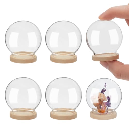 NBEADS 6 Pcs Mini Round Glass Dome, Clear Glass Display Dome Cover with Wood Base Cloche Bell Jar for Centerpieces Plants Rocks Specimens Decorations Crafts, Diameter: 1.57 inch BurlyWood - color: Burlywood