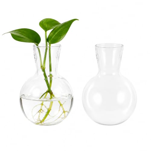 Toddmomy Clear Glass Planters 2Pcs Hydroponic Glass Vase for Indoor Plants Terrarium Plants Flower Holder Suspended Vase Decor for Home Office Table Centerpieces