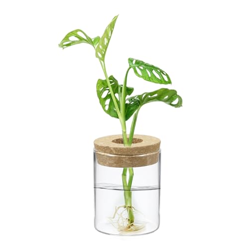 M METERXITY 1 Pack Glass Planter Terrarium with Wooden Cover, Desktop Plant Propagation Station Clear Vase for Hydroponic Plants Propagation/Home Garden Decor/Plant Lover [2.56'' x 3.94''] - size: 2.56'' x 3.94''