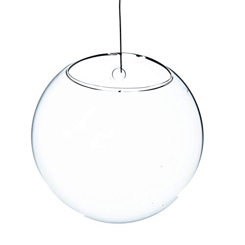 WGV Wall Hanging Planter Terrarium, Diameter 5", Clear Mounted DIY Succulents Air Glass Floral Container Vase, Tea Light Votive Candle Holder for Decoration 1 Piece - size: 5"D