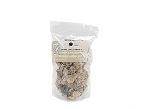 Josh's Frogs Reindeer Moss- Natural (1 Quart) - color: Natural