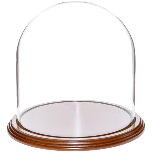 Plymor 8" x 8" Glass Display Dome Cloche (Walnut Veneer Base) - color: Walnut Veneer Base