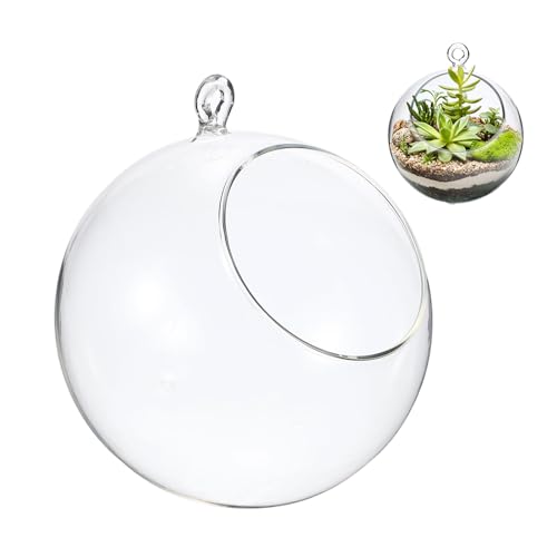 M METERXITY 1-Pack Clear Glass Air Plant Terrarium, 2.8 Inch Angled with Handle Plant Display Glass for Windowsill/Outdoor Garden/Home Decor, Flat Bottom Globe Bowl Terrarium [Transparent] - size: 2.8 Inch