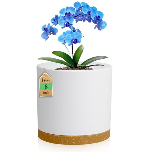 WSMKSZ 8 Inch Cylinder Flower Pots for Indoor Outdoor Plants, Medium Deep Plant Pots with Drainage Holes & Saucer, Decorative Plastic Planter Pots for Garden House Plants, White with Brown - color: White With Brown, size: 8 Inch Deep