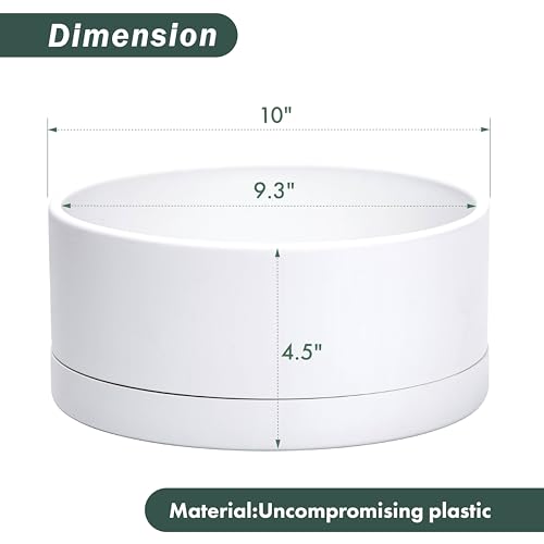 D'vine Dev 10 in Shallow Round Succulent Planter, White, 76-Z-A-2 | Wide Bowl Design, Thick-Walled Durable Construction, Enhanced Drainage, Detachable Saucer, Ideal for Succulent Arrangements - color: White, size: 10 Inch