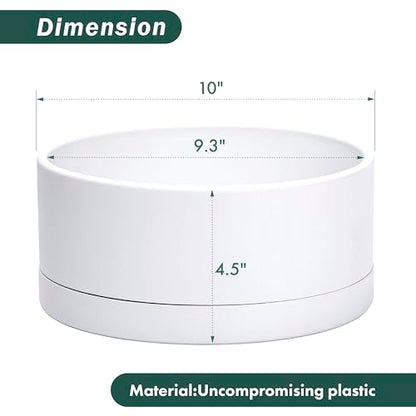 D'vine Dev 10 in Shallow Round Succulent Planter, White, 76-Z-A-2 | Wide Bowl Design, Thick-Walled Durable Construction, Enhanced Drainage, Detachable Saucer, Ideal for Succulent Arrangements - color: White, size: 10 Inch