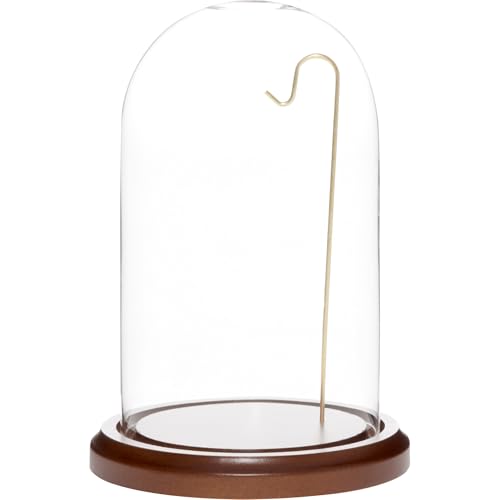 Plymor 4" x 7" Watch/Ornament Glass Display Dome - color: Dark Wood Base