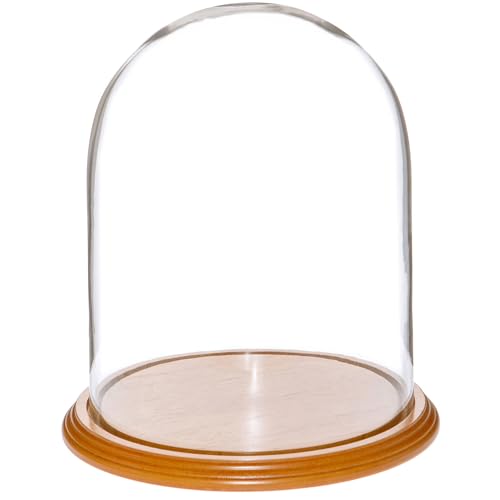 Plymor 8" x 10.25" Glass Display Dome Cloche (Oak Veneer Base) - color: Oak Veneer Base