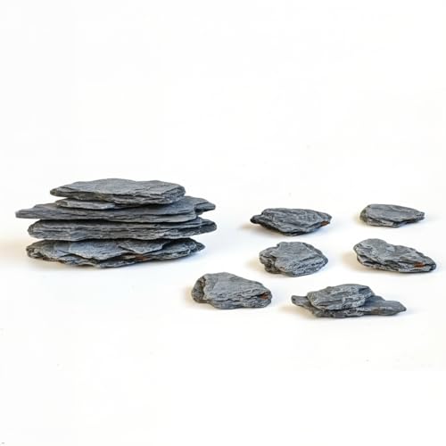 Kai Dream Miniature Stones for Terrarium - Tree Bark Diorama Rocks for Miniature Terrain Display - Lightweight Reptile Habitat Decor - NOT for Aquarium Underwater Use - 24Pcs Slate Stone (1-2 inch)“ - style: 24P Wooden Slate Rocks