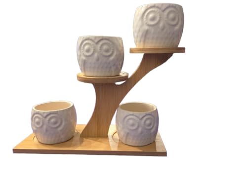 Blisse Wood Owl Planter Set for Home Décor - White Ceramic Owl Pots with Wooden Stand, Cute Indoor Succulent & Tabletop Planters for Shelves, Windowsills & Gifts - color: White